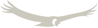 CÓNDOR OTC S.A. Logo